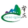 多彩肇庆ico
