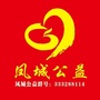 凤城公益ico