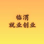 临渭就业创业ico