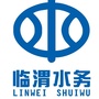 临渭水务ico