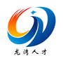 龙湾人才ico