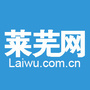 莱芜网ico
