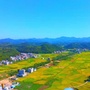 龙圩区广平镇ico
