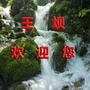 陇南礼县王坝乡人民政府ico