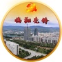 临翔先锋ico