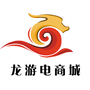 龙游电商城ico