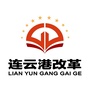 连云港改革ico