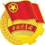 新浦青年ico