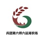 印象六运湖ico