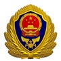 辽阳宏伟消防ico