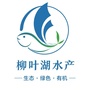 柳叶湖水产ico