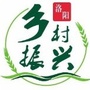 洛阳乡村振兴ico