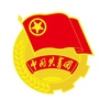 辽源共青团ico