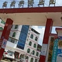 健康高头ico