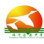 临沂汤头中学ico