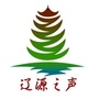 辽源之声ico