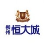 柳州恒大城ico