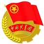 林芝青年ico