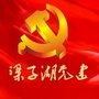 梁子湖党建ico