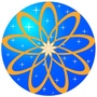 量子华严米粉俱乐部ico