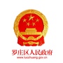 罗庄区人民政府ico