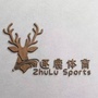 广州逐鹿体育ico