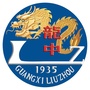 柳州市龙城中学教育集团ico