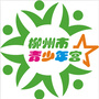 柳州市青少年宫ico