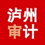 泸州市审计局ico