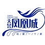 天昱凤凰城公众号ico