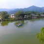 八步新莲塘ico