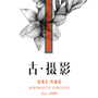 日照古摄影公众号ico