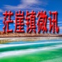 茫崖镇微讯ico