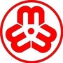 麻章妇联ico