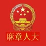麻章人大ico