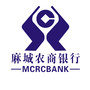 麻城农商银行ico