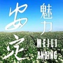 魅力安定ico