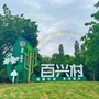 活力文山ico