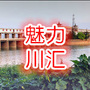 魅力川汇ico
