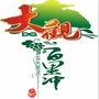 魅力大观ico