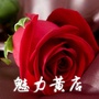 魅力黄店文化站ico