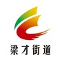 魅力梁才ico