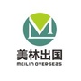 美林出国ico