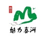 魅力喜河ico