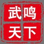 武鸣人天下ico