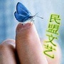 宝鸡民盟ico