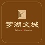 梦湖文城ico