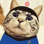 星座喵公众号ico