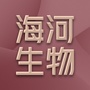海河标测ico
