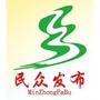 民众发布ico
